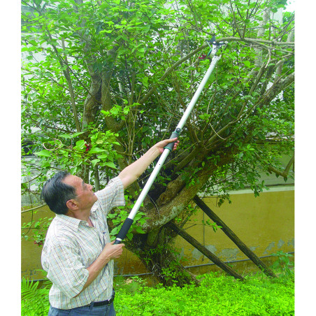 * Echenilloir fixe à sangle (53402C) - V