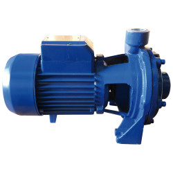 * Pompe Centrifuge 1100W