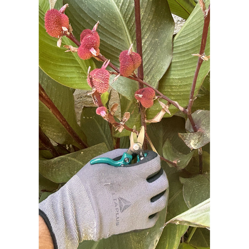 * ErgoPro Universel (53022TC / 53HS22) - B