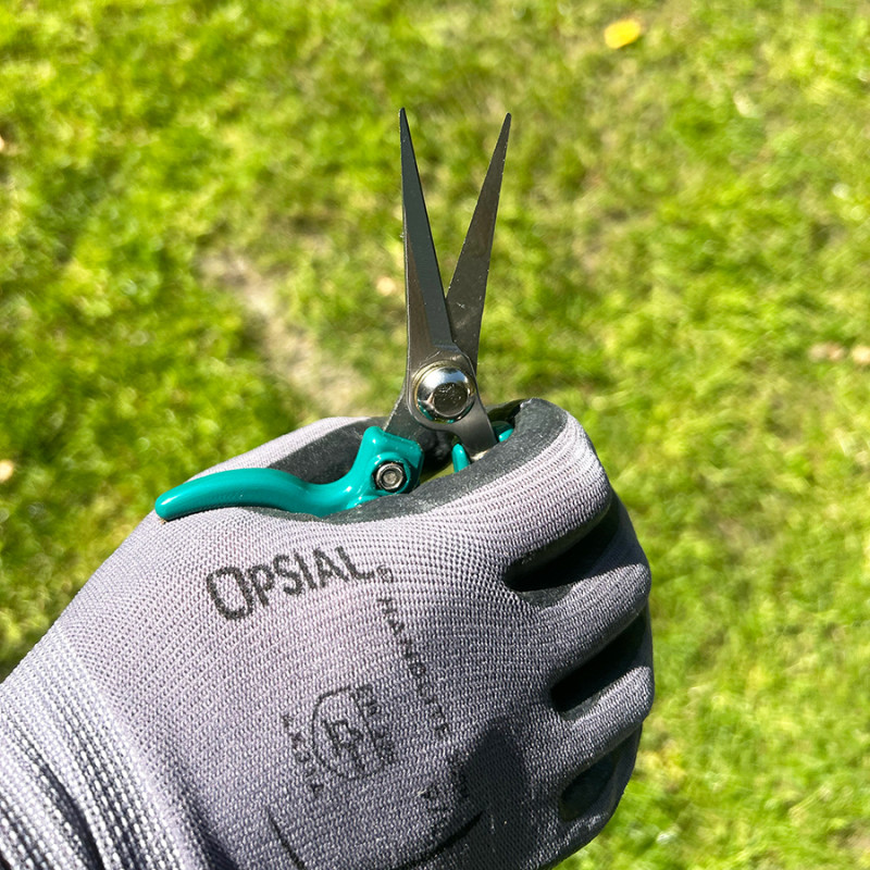 ErgoPro Epinette (53023TC / 53.HS23) - B