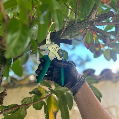 Sécateur de force (53.MS6) - B