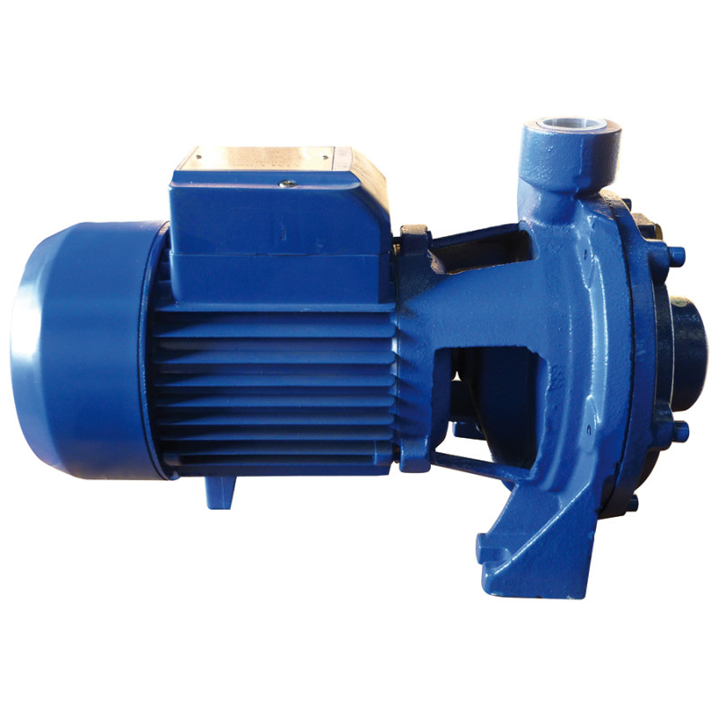 * Pompe Centrifuge 1100W