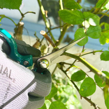 ErgoPro Epinette (53023TC / 53.HS23) - B