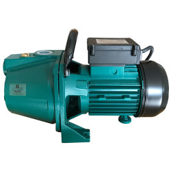 * Pompe fonte 1100W (GP1100 - 58076)