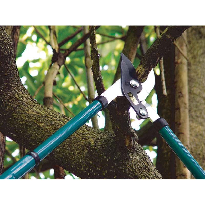 Ebrancheur télescopique à lame franche 53.ML49-95T (53249) - B