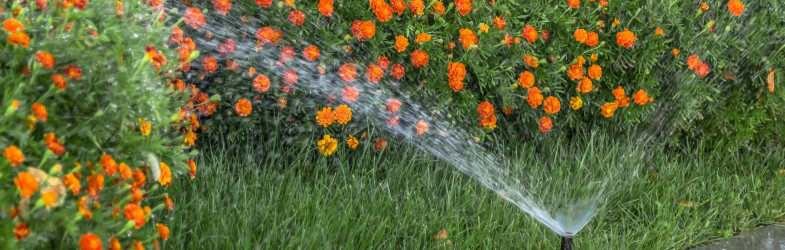 Choisir un système d'arrosage pour votre jardin